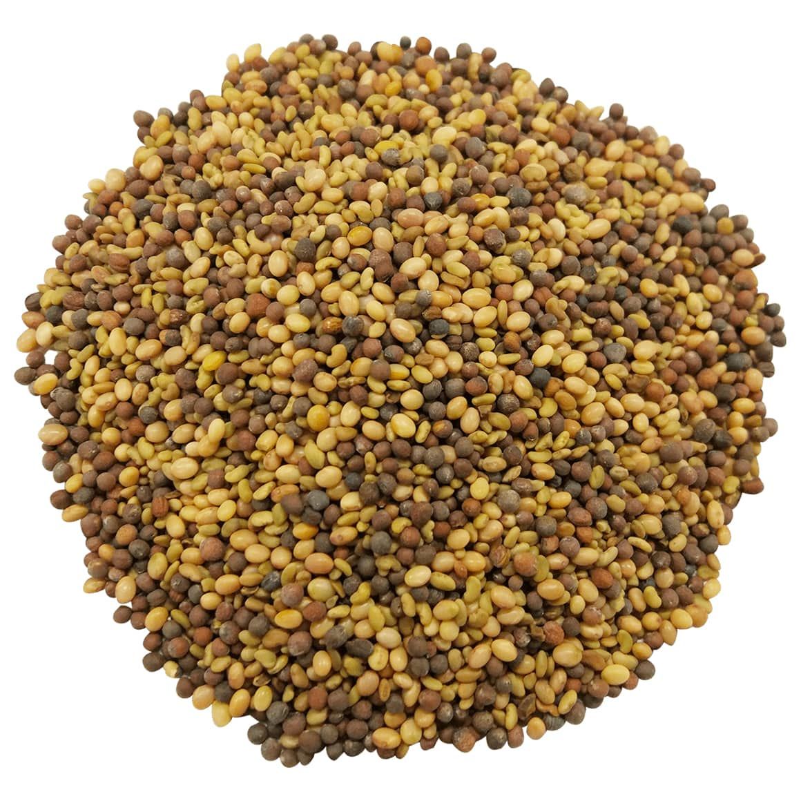Peru Yoncası