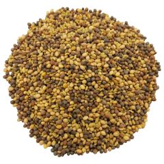 Peru Yoncası