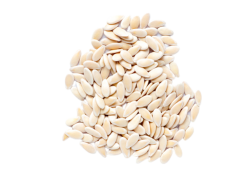 Salatalık Tohumu