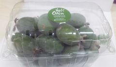 Feijoa - Kaymak Ağacı Meyvesi - Fejua Yaş/Taze Meyve