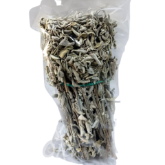 Adaçayı Çalba Salvia
