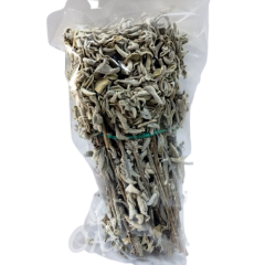 Adaçayı Çalba Salvia