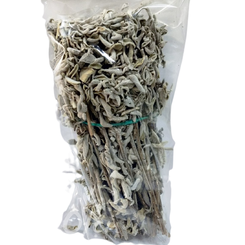 Adaçayı Çalba Salvia