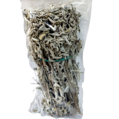 Adaçayı Çalba Salvia