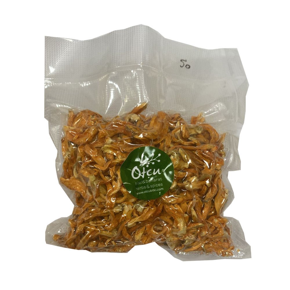 Kordiseps (Cordyceps) Mantarı