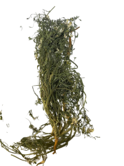 Şahtere Otu 30 gr