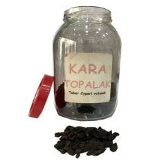 Kara Topalak Otu