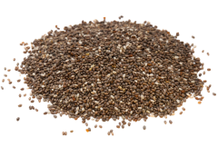 Chia Tohumu