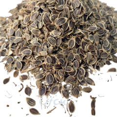 Çakşır Tohumu